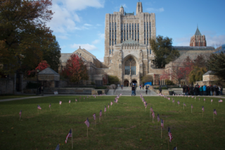 Miniature American flags line cross campus in front of Sterling Library.